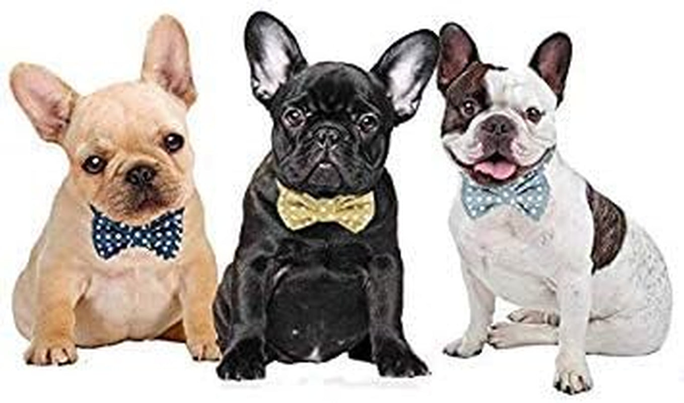 Kebs Kebocis Adjustable Polka Dot Dog Bow Tie Collar with Detachable Bowtie for Medium Dogs, Light Blue