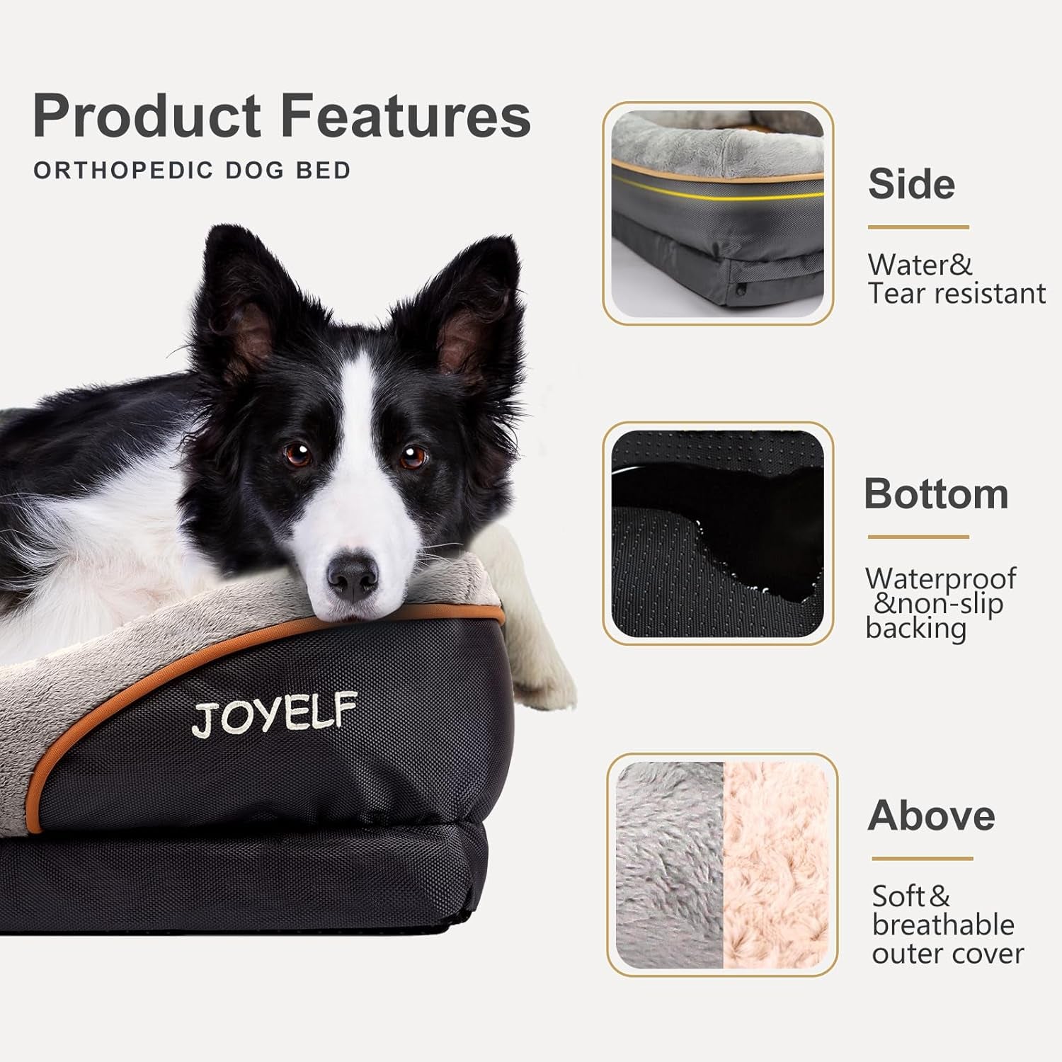 Premium Orthopedic Large Memory Foam Dog Bed with Removable Washable Cover and Complimentary Squeaker Toy